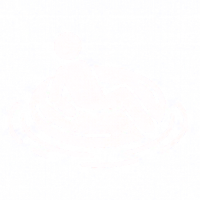 Tubing